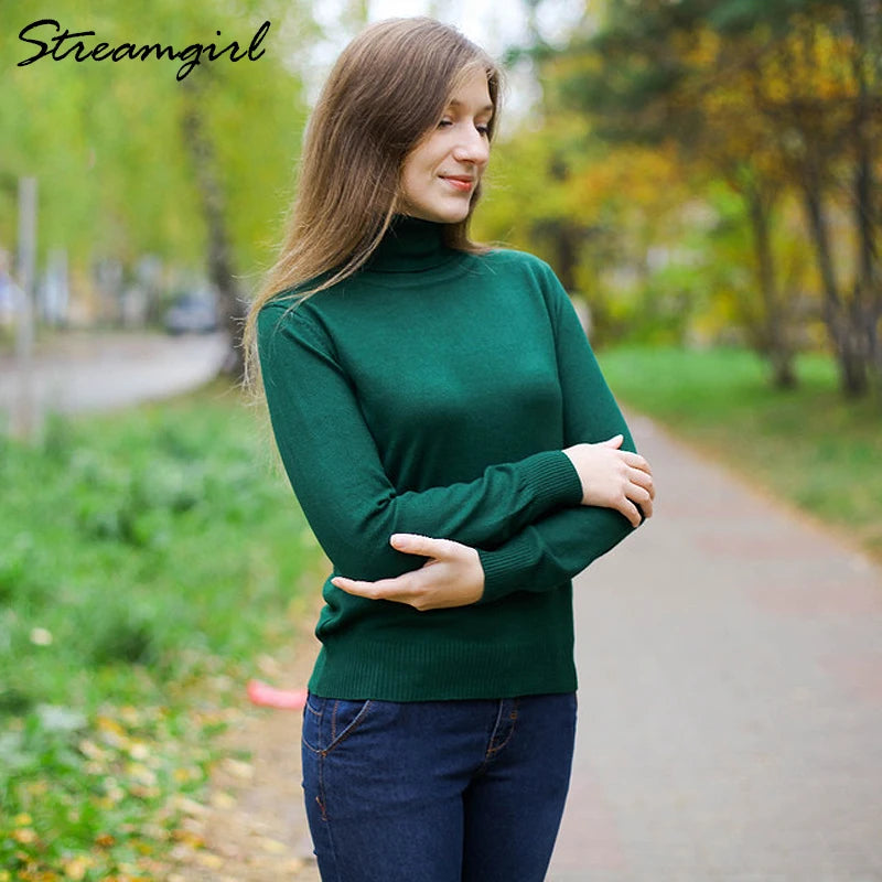 Turtleneck Ladies Cashmere Pullover Sweaters